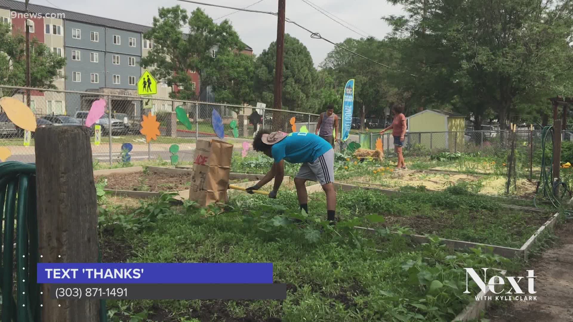 This week, donations will go to Denver Urban Gardens to provide infrastructure upgrades to existing community gardens and reduce barriers to growing fresh food.