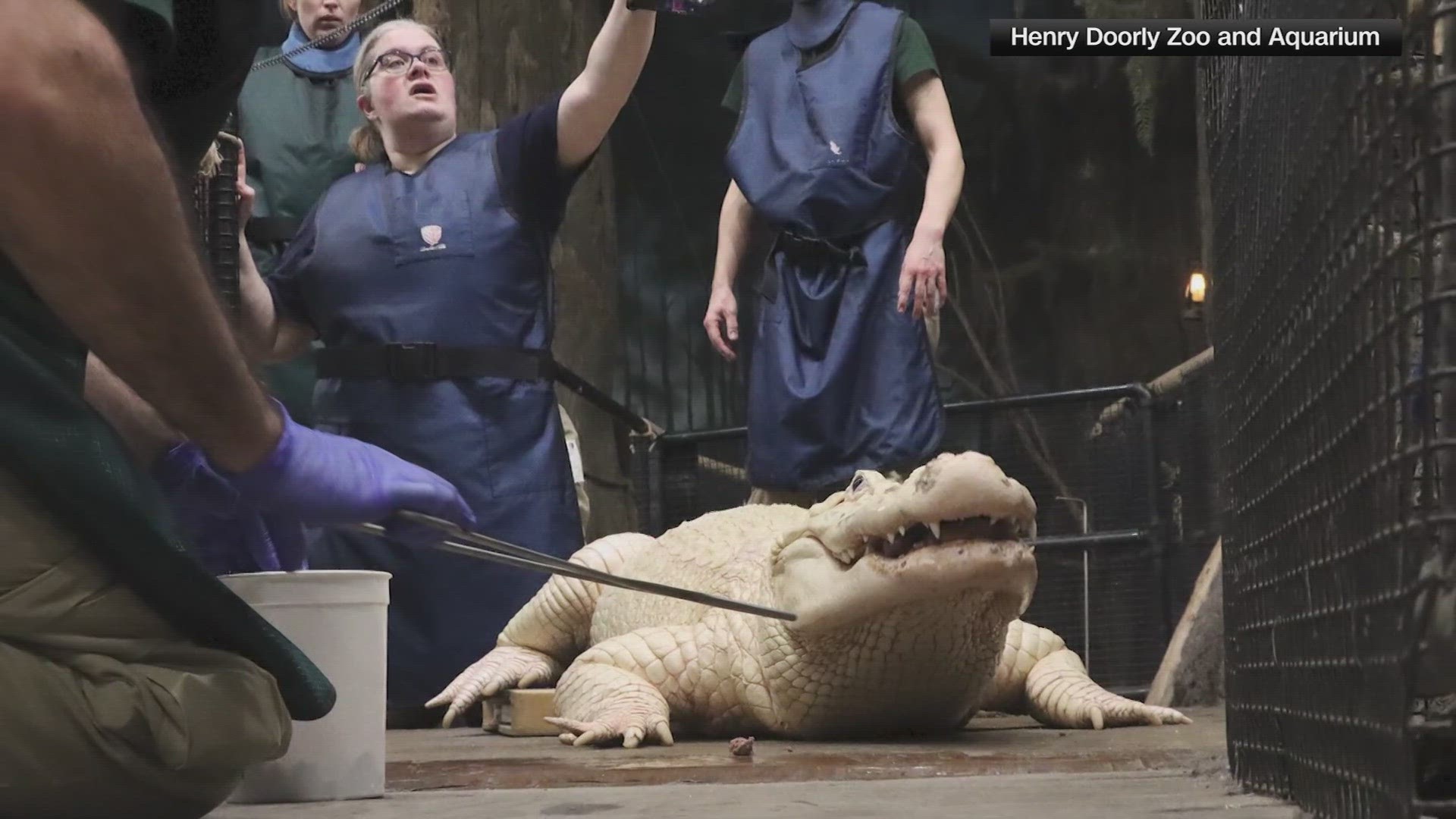 The Henry Doorly Zoo and Aquarium is asking people not to throw coins in enclosures.