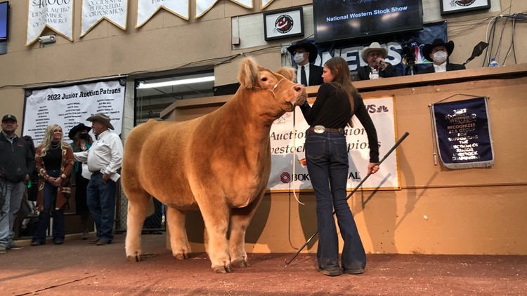 Junior Livestock Auction breaks records at National Western
