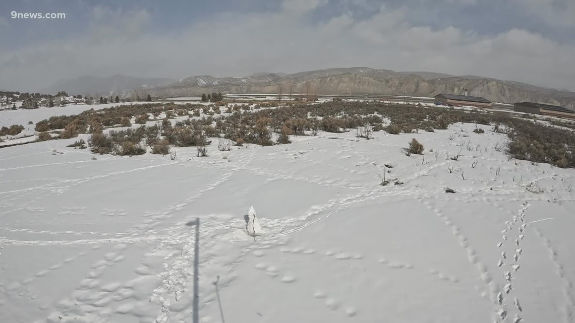 Tesla sales and service facility coming to Gypsum