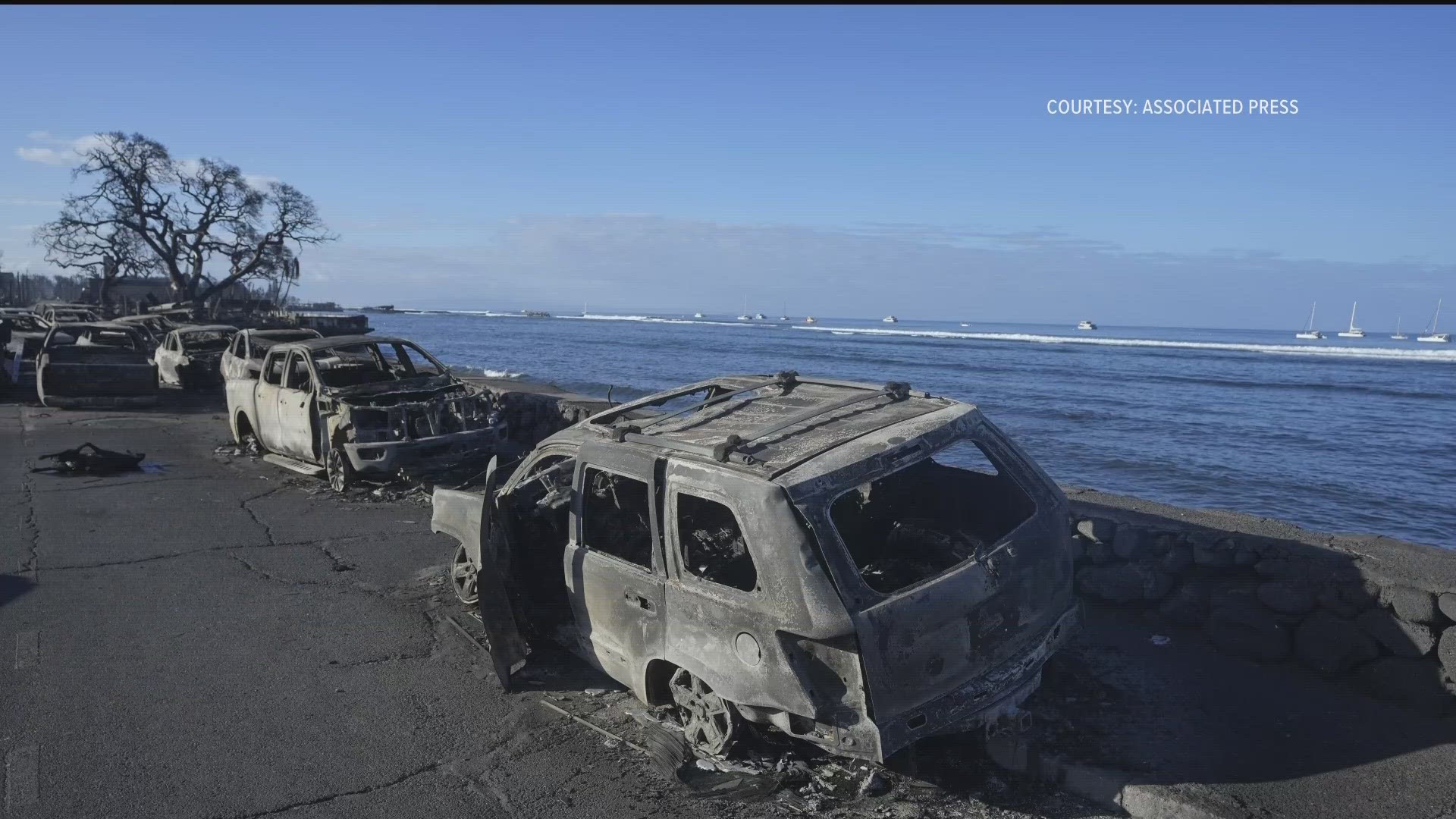 Megan Hedley talks about the beauty of Lahaina after losing everything in the fires.