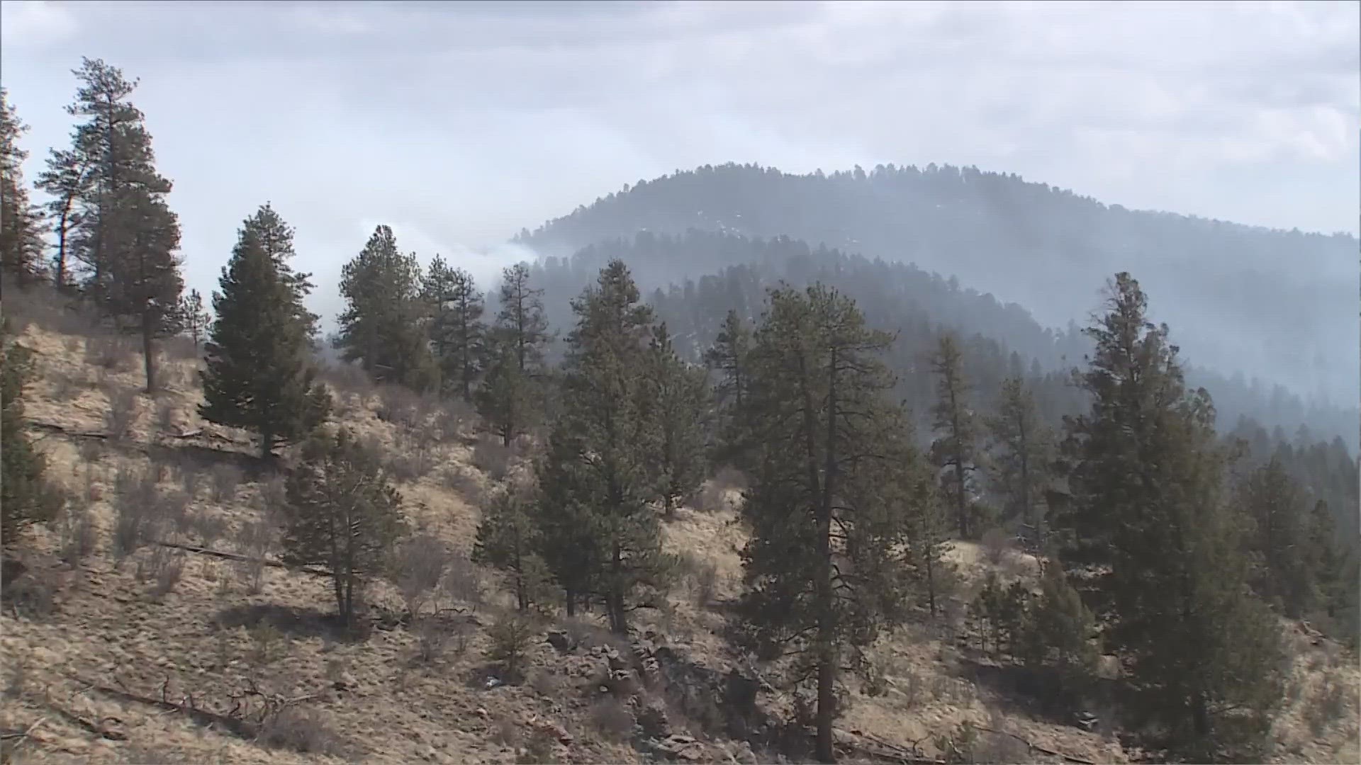 Colorado firefighters continue to battle wildfires: There are mandatory evacuations for El Paso County, 403 Fire is 25% contained, Hogback Fire is 70% contained.