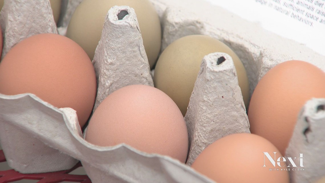 What came first: Sick chickens or new egg rules?