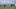 Semi rollover leaves cattle dead in northern Colorado