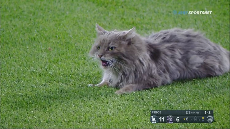 Dinger's mom visits Coors Field, 05/14/2017