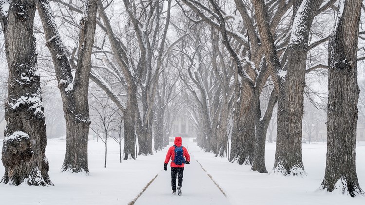 Colorado State University declares snow day Monday