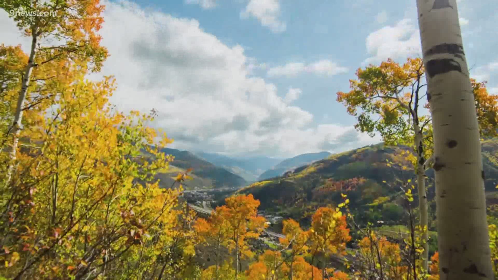 We're already starting to see the fall colors up in the high country and we're getting close to their peak.