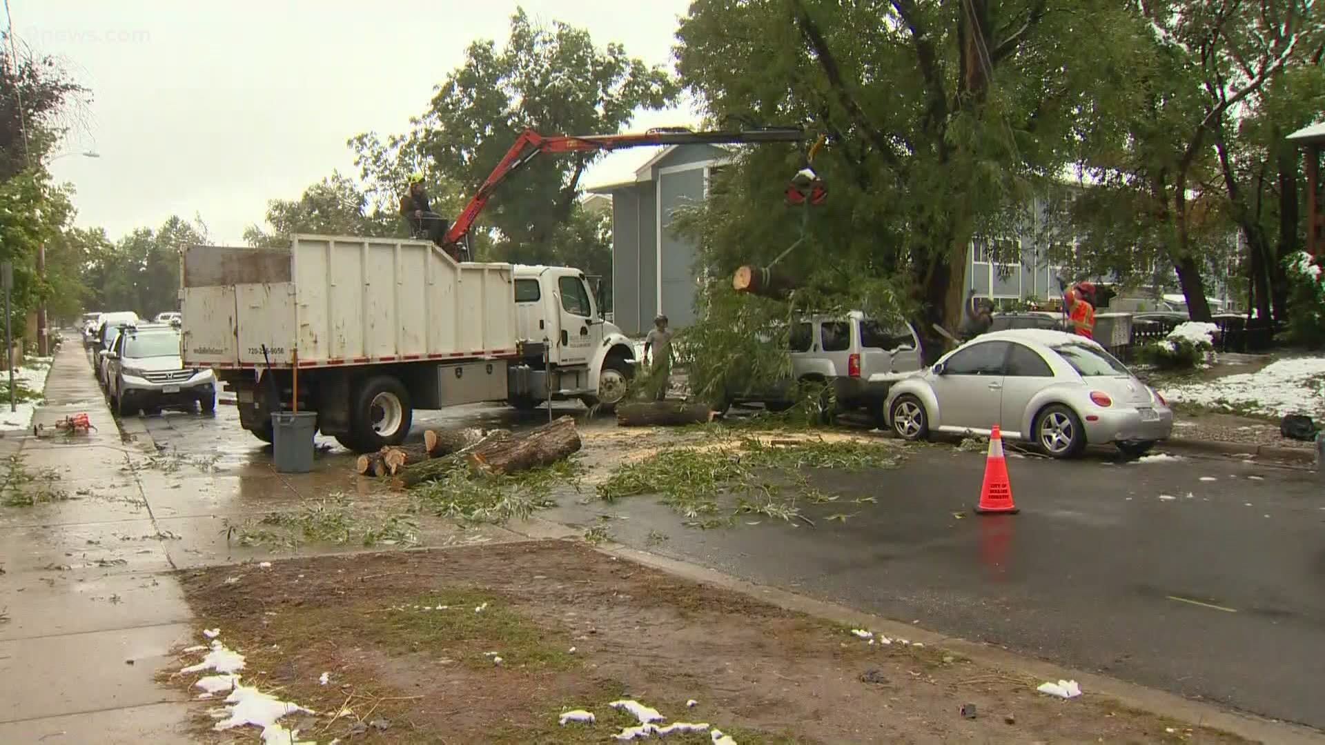 The scope of the damage in Boulder will be determined over the next week, with trees being cleared based on priority, city officials said.