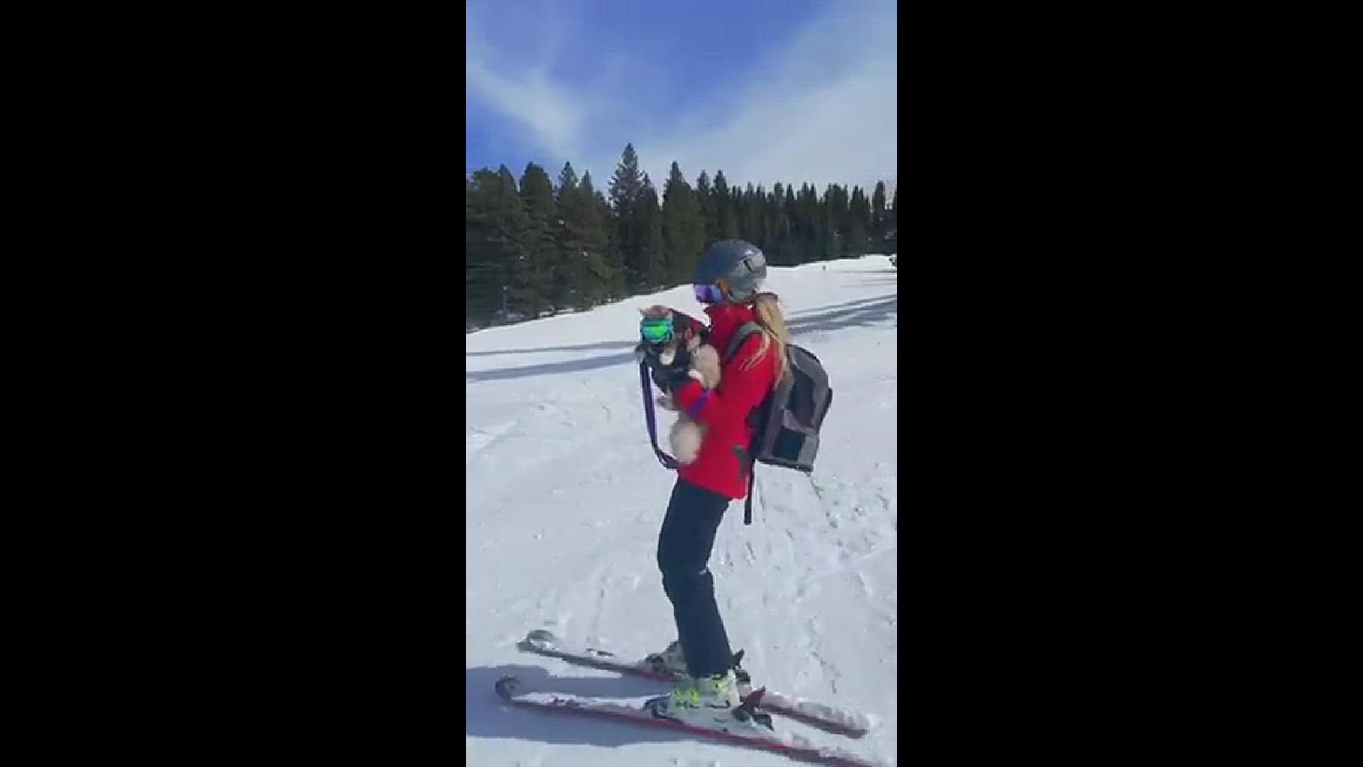 Meet Petra an adventure kitty. Her mom was born in Aspen and has been teaching skiing at Highlands since 2006.
Credit: Brennen Chamberlian