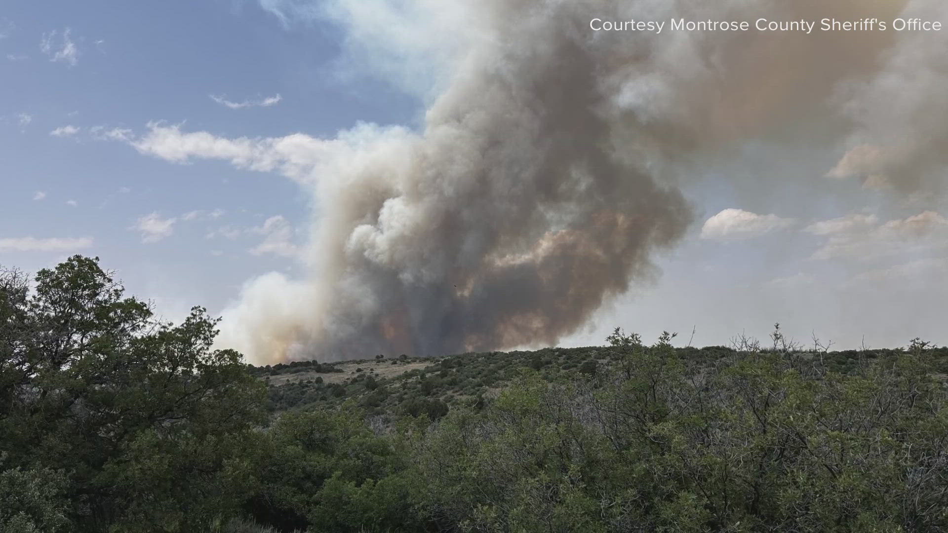 Several wildfires are burning in Colorado, including one that prompted evacuations in Buena Vista, and another that closed Black Canyon of the Gunnison National Park