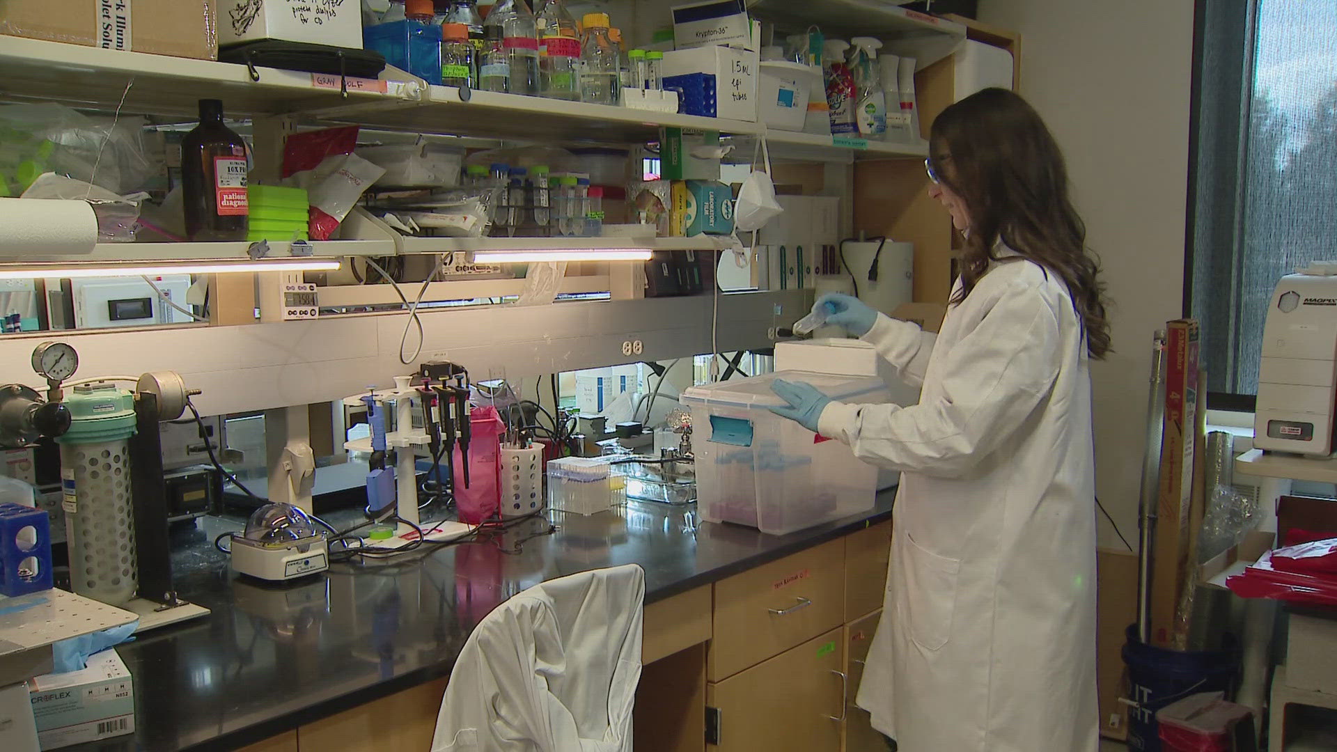 9news.com - Courtney Yuen - CU Boulder researcher warns of untested toxins in cannabis, calls for expanded safety measures