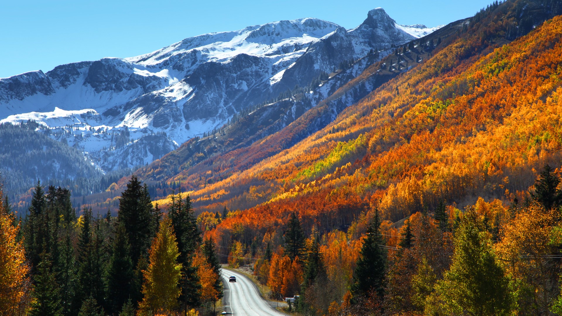 Here are the 9 best drives to see fall colors in Colorado | 9news.com