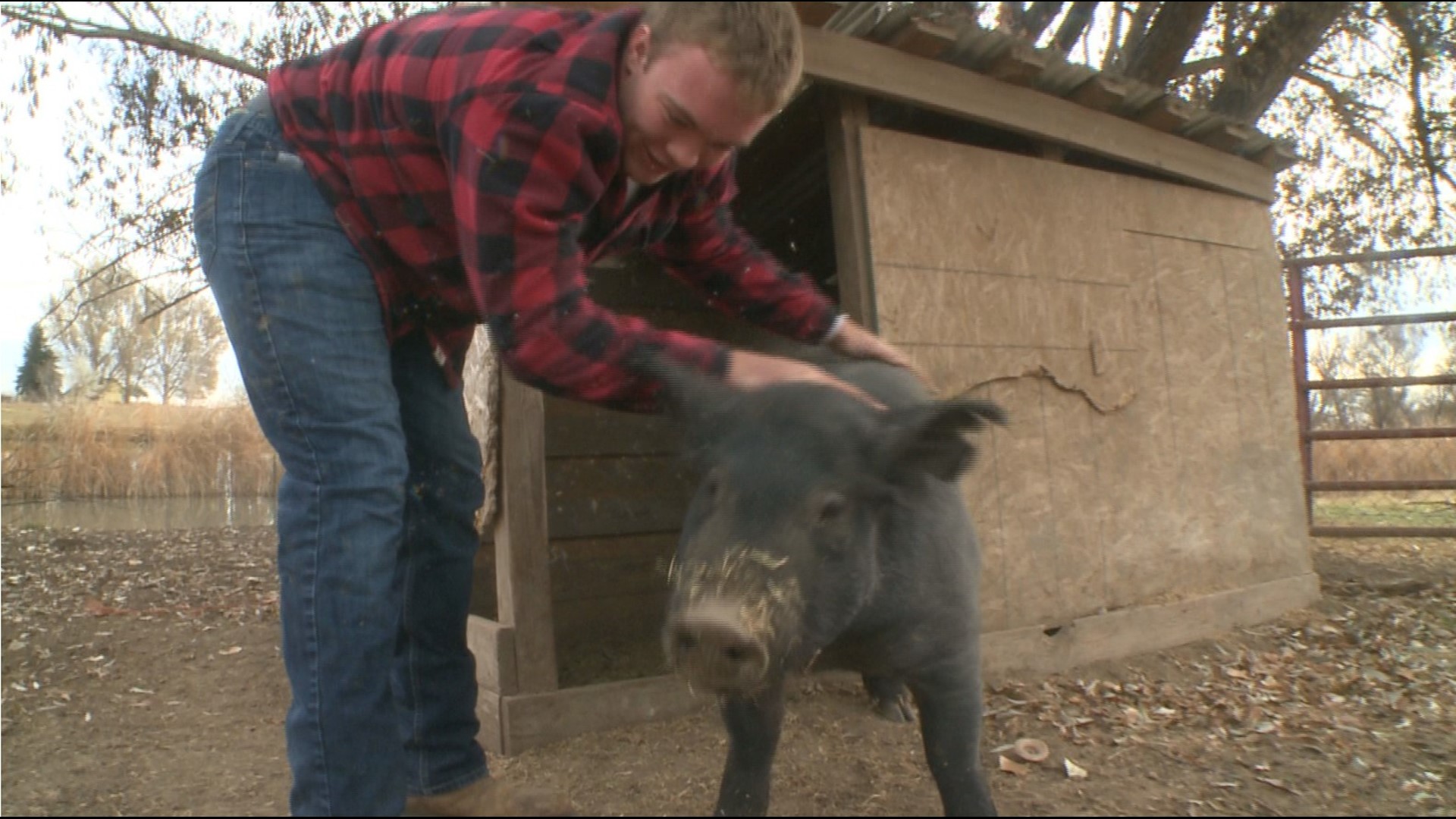 Caden Dollar has worked on a nearby farm in Fort Collins for the last decade, 9NEWS's Scotty Gabge caught up with him to reflect on his time working.