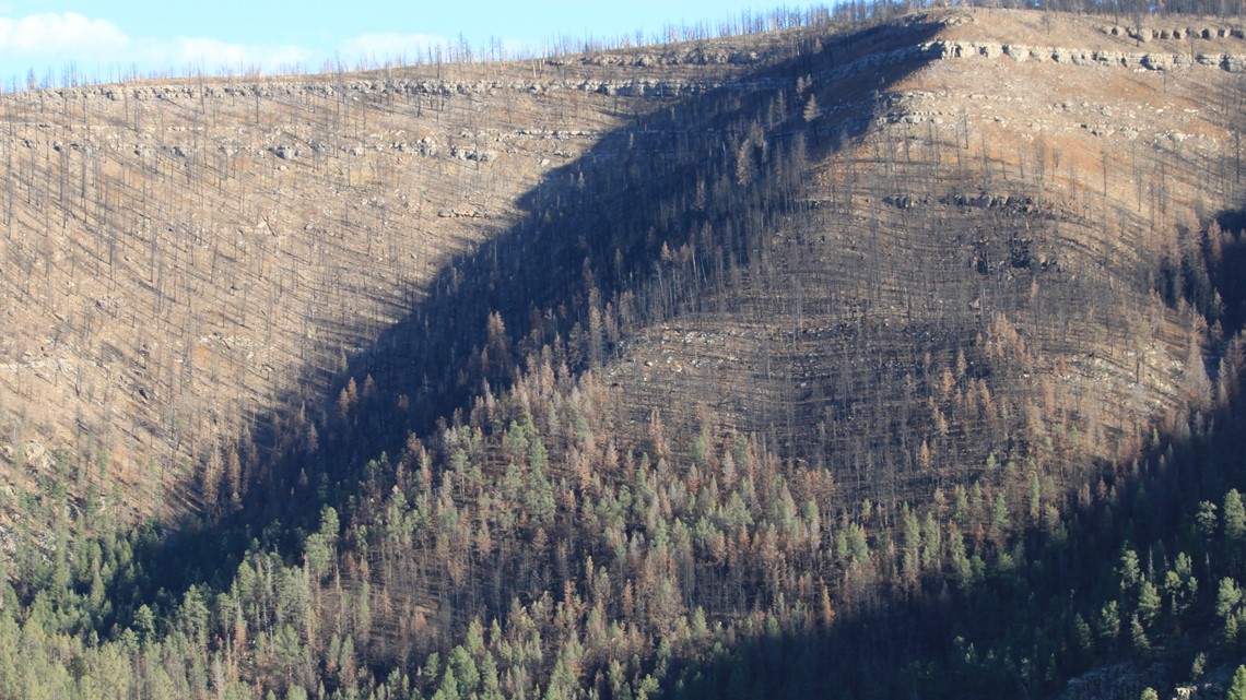 Politicians tell Forest Service to do more to fight wildfires - Vimarsana News