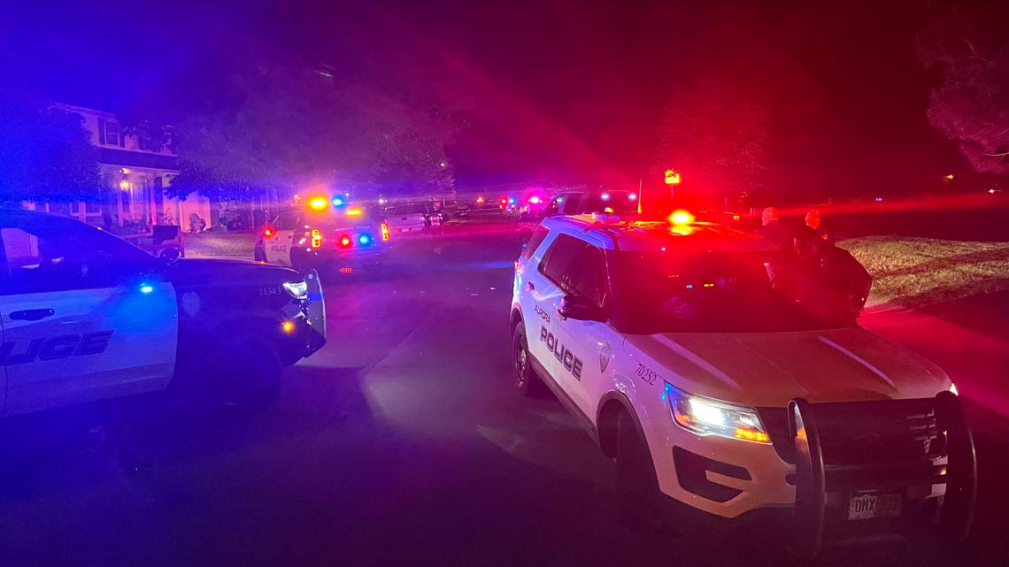 Teen dies, 2 injured in shooting at party in Aurora park | 9news.com