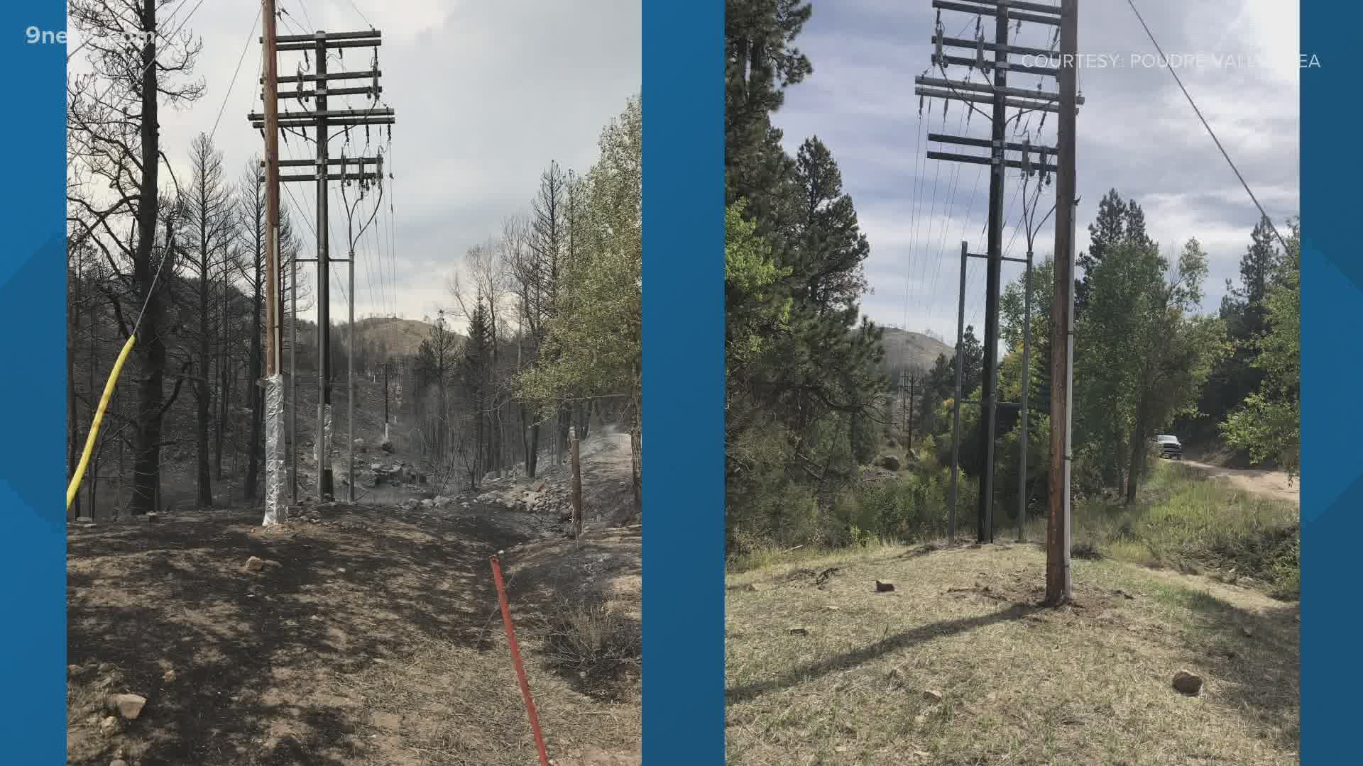 Crews from Poudre Valley REA were able to protect power lines from the Cameron Peak Fire.