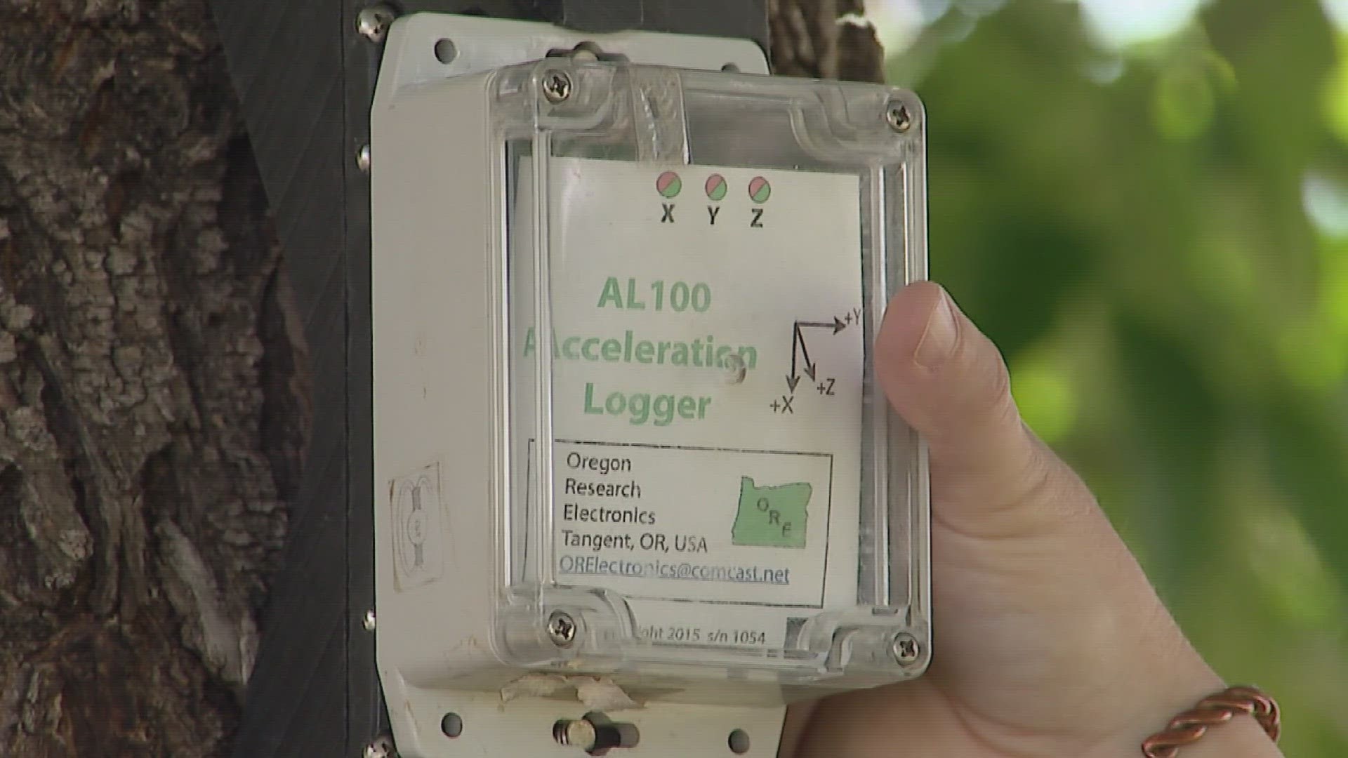 Having high-resolution, long-term accelerometer data will help scientists better anticipate how climate extremes will impact our trees.