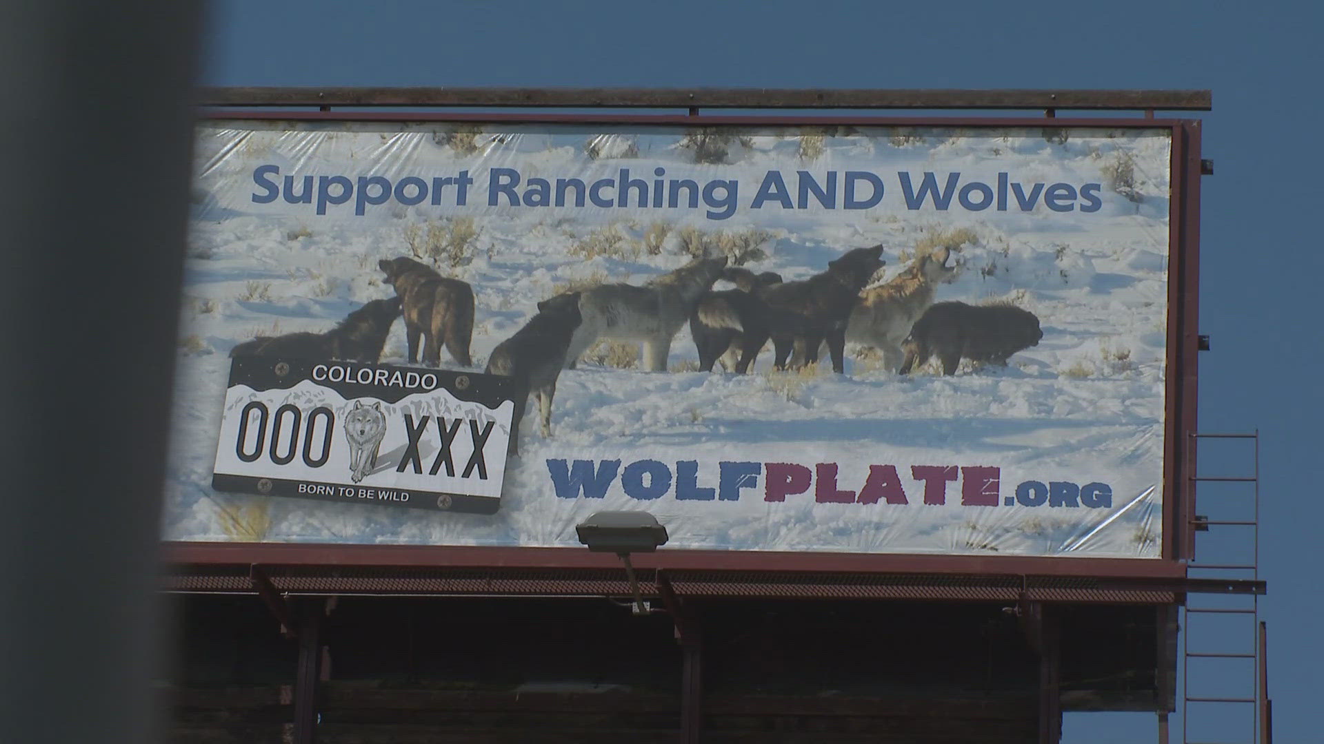 Billboards in Colorado promote a specialty license plate to fund nonlethal solutions for wolf-rancher conflicts.