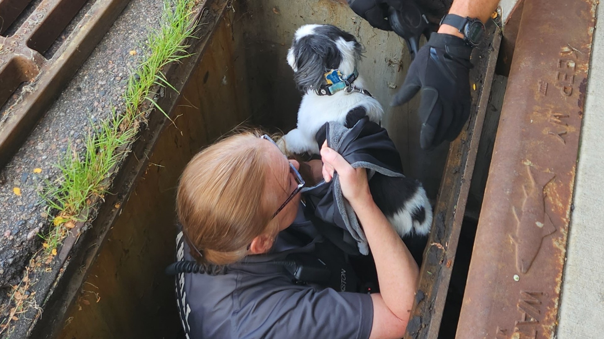 Blind dog saved after falling down Lakewood storm drain | 9news.com