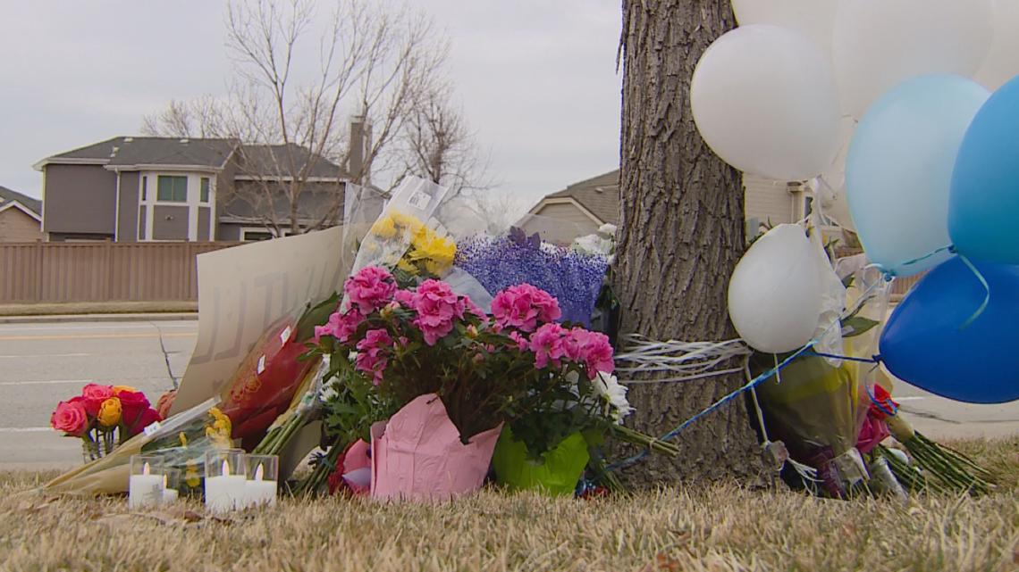 Boy, 13, killed in Highlands Ranch crash | 9news.com