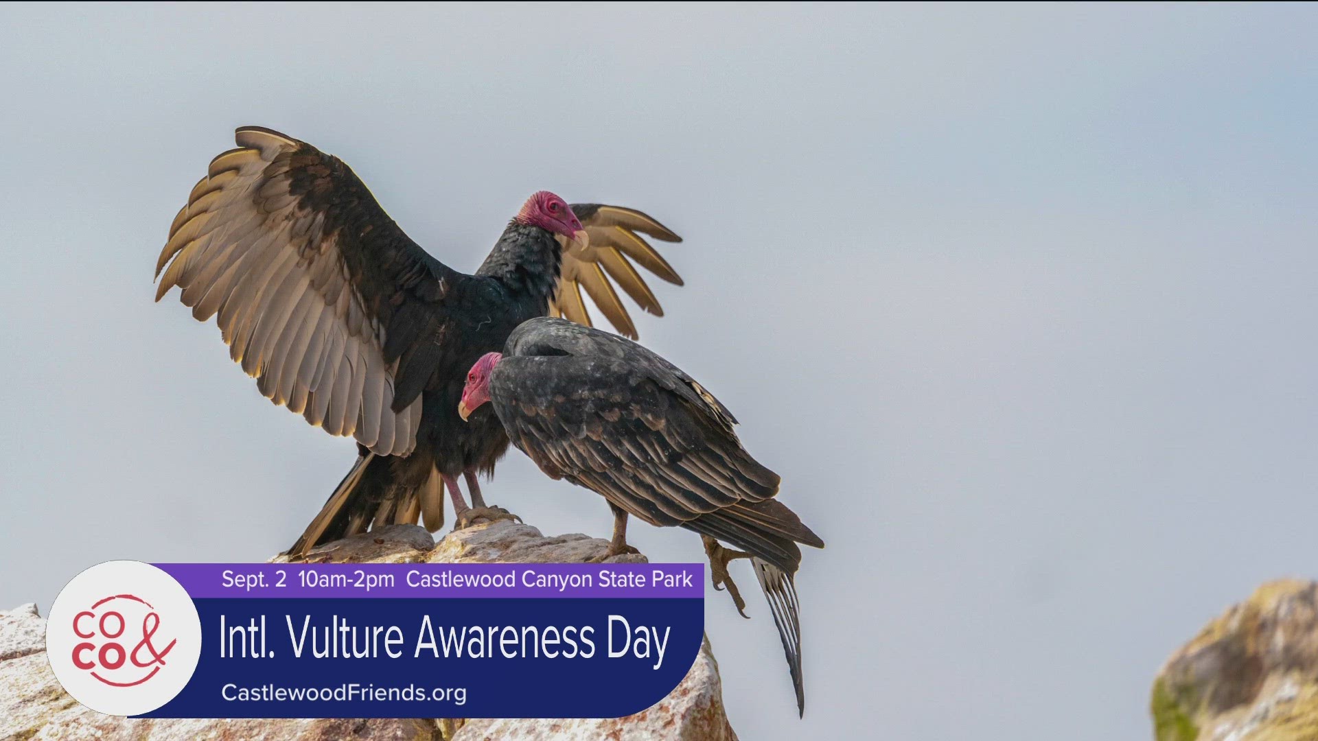 Bring the family to Castlewood Canyon State Park this Saturday, Sept. 2 for International Vulture Awareness Day from 10-2. Learn more at CastlewoodFriends.org.