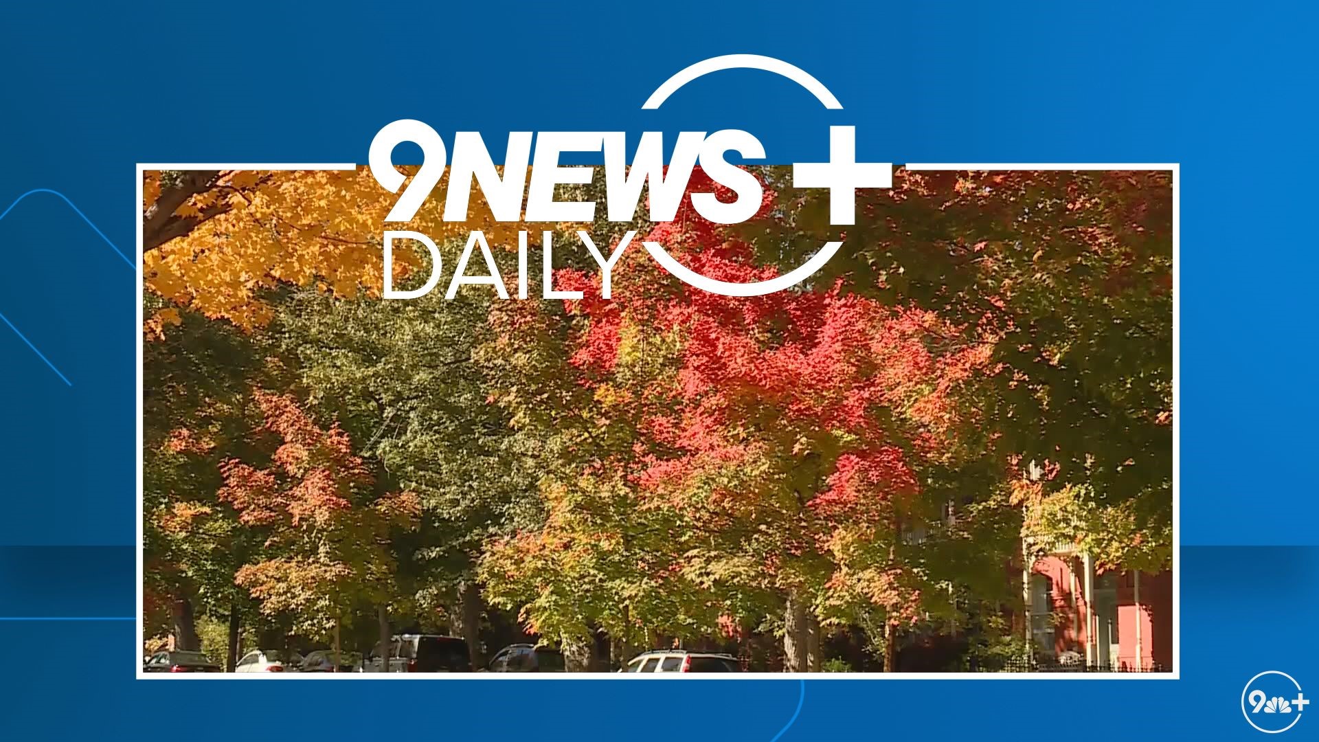 Chris Bianchi consulted arborists and used meteorology to try and pinpoint where and when the best fall colors might be this autumn.