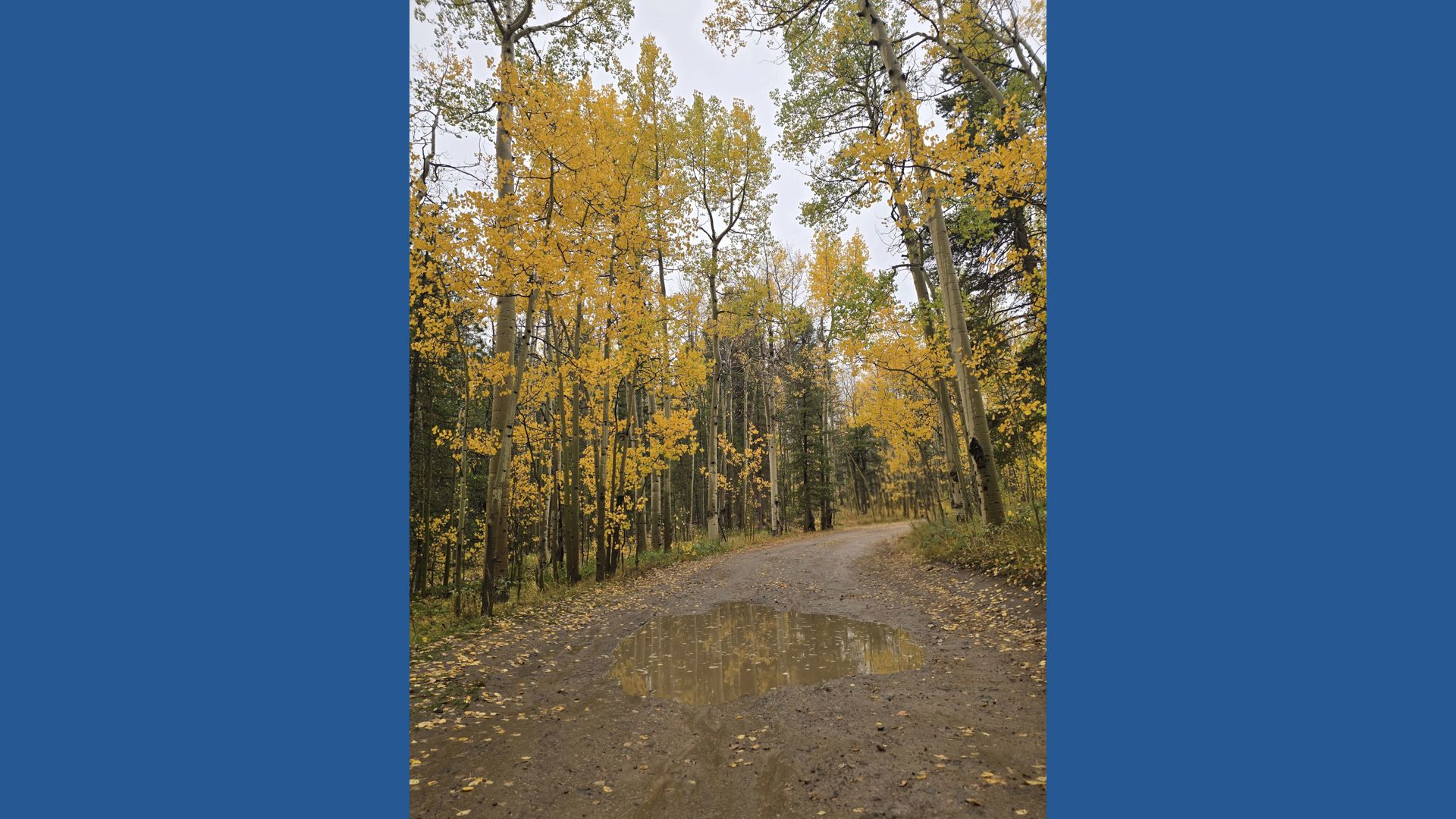 9 hikes to spot fall colors in Colorado | 9news.com