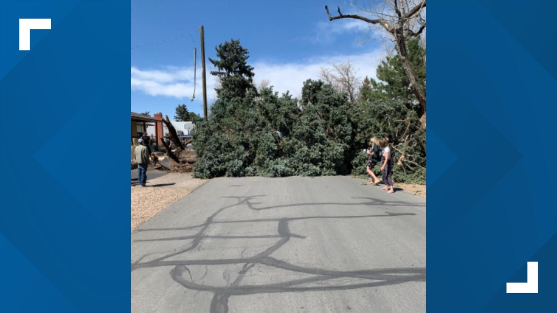 High winds cause fire danger, power outages, downed trees | 9news.com