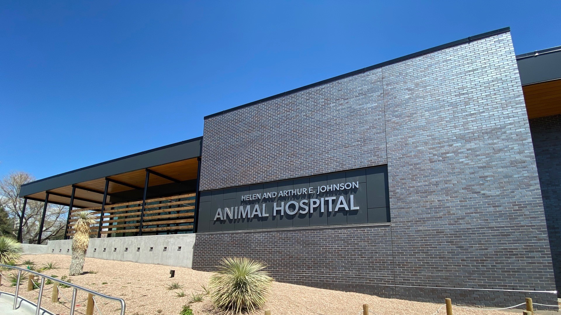 Guests to be welcomed to Denver Zoo animal hospital | 9news.com