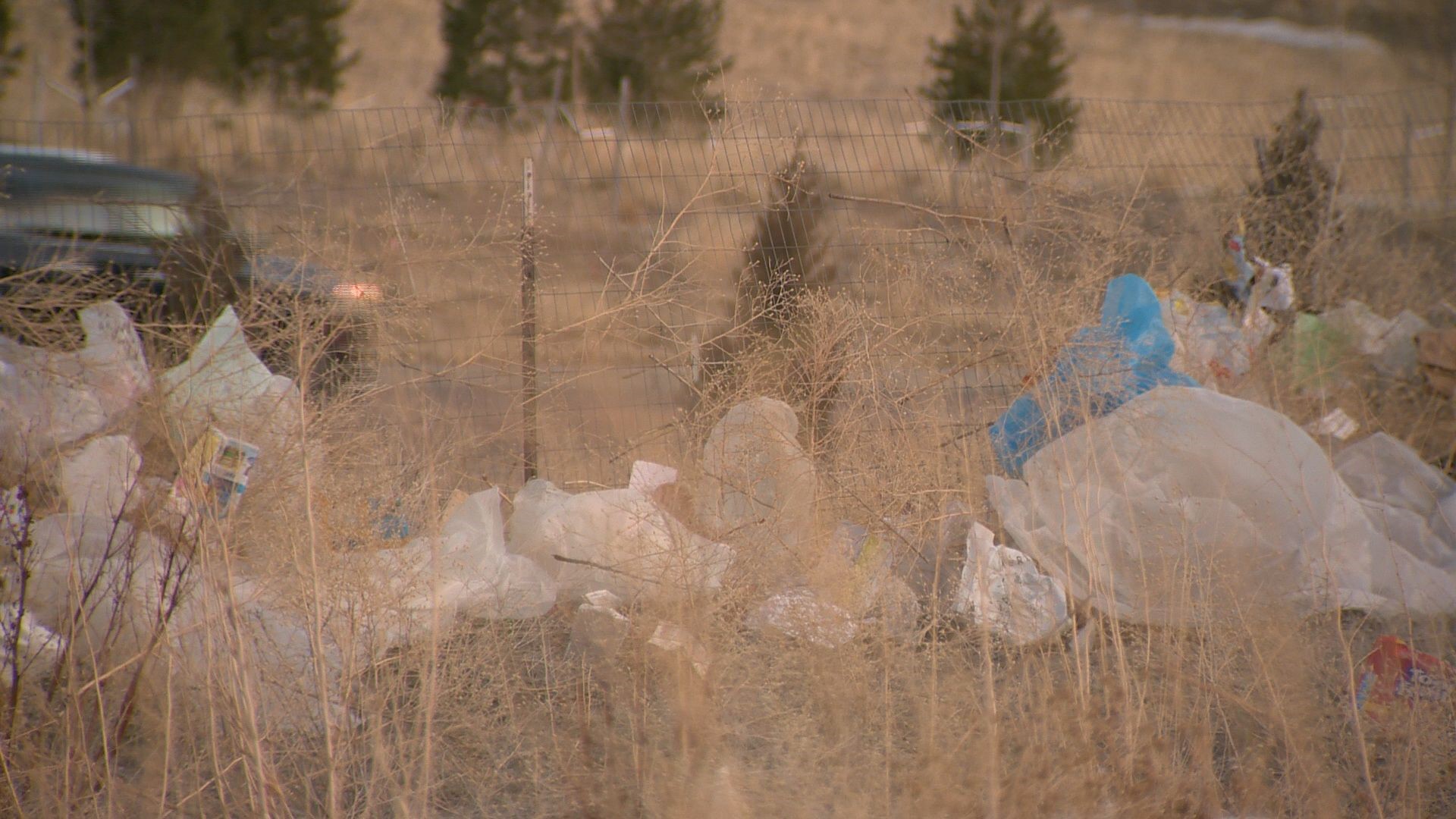 PHOTOS Residents believe trash from a nearby landfill is blowing into
