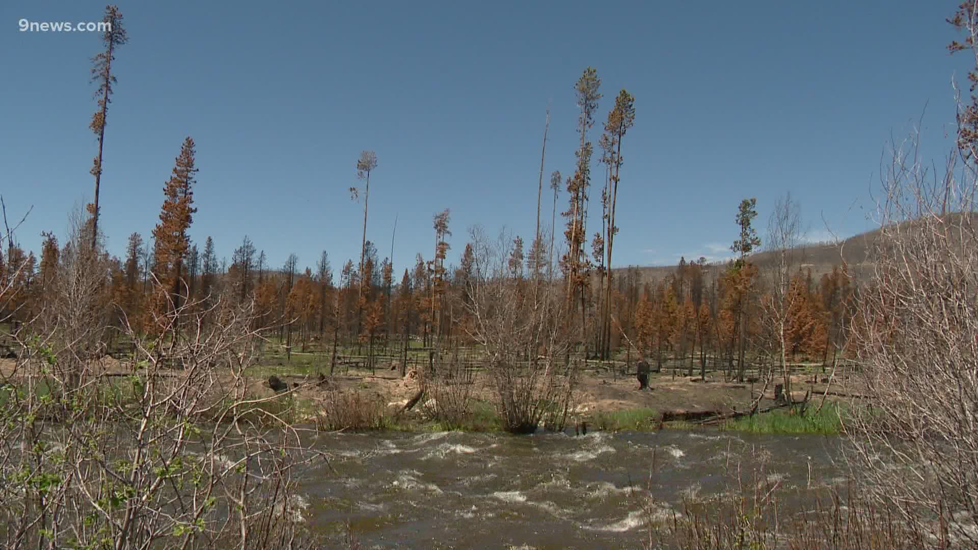 Researchers are still working to learn more about the potential long term effects of the East Troublesome Fire on the area's water supply and ecosystem.