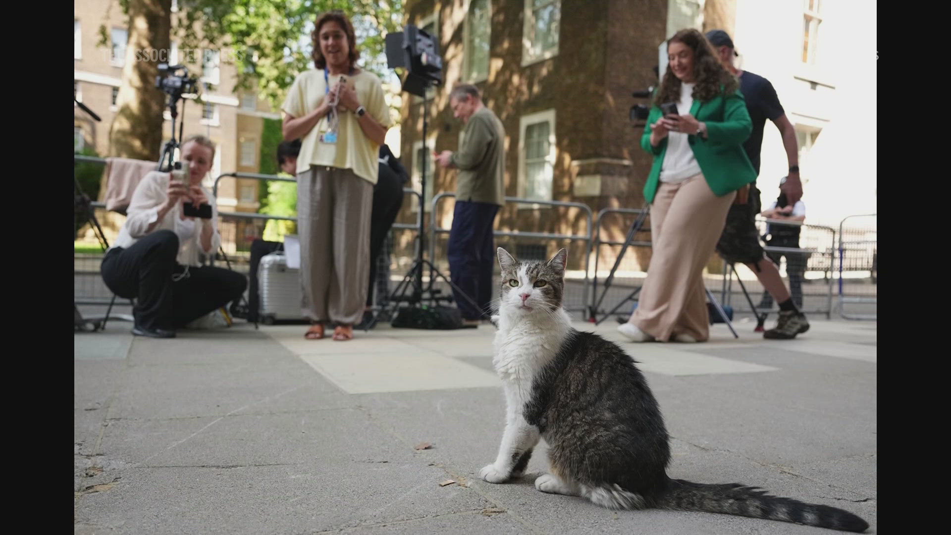 Larry the Cat: Britain's unofficial first feline to serve under 7th ...