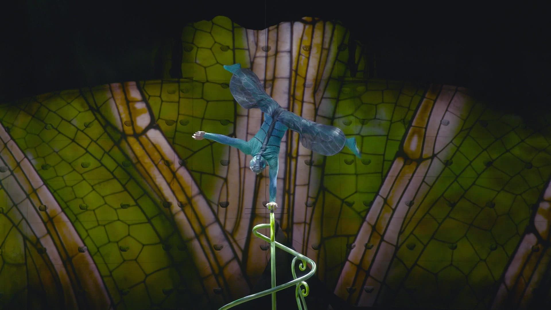 The show-stopping acrobats of Cirque du Soleil are returning to the Centennial State.