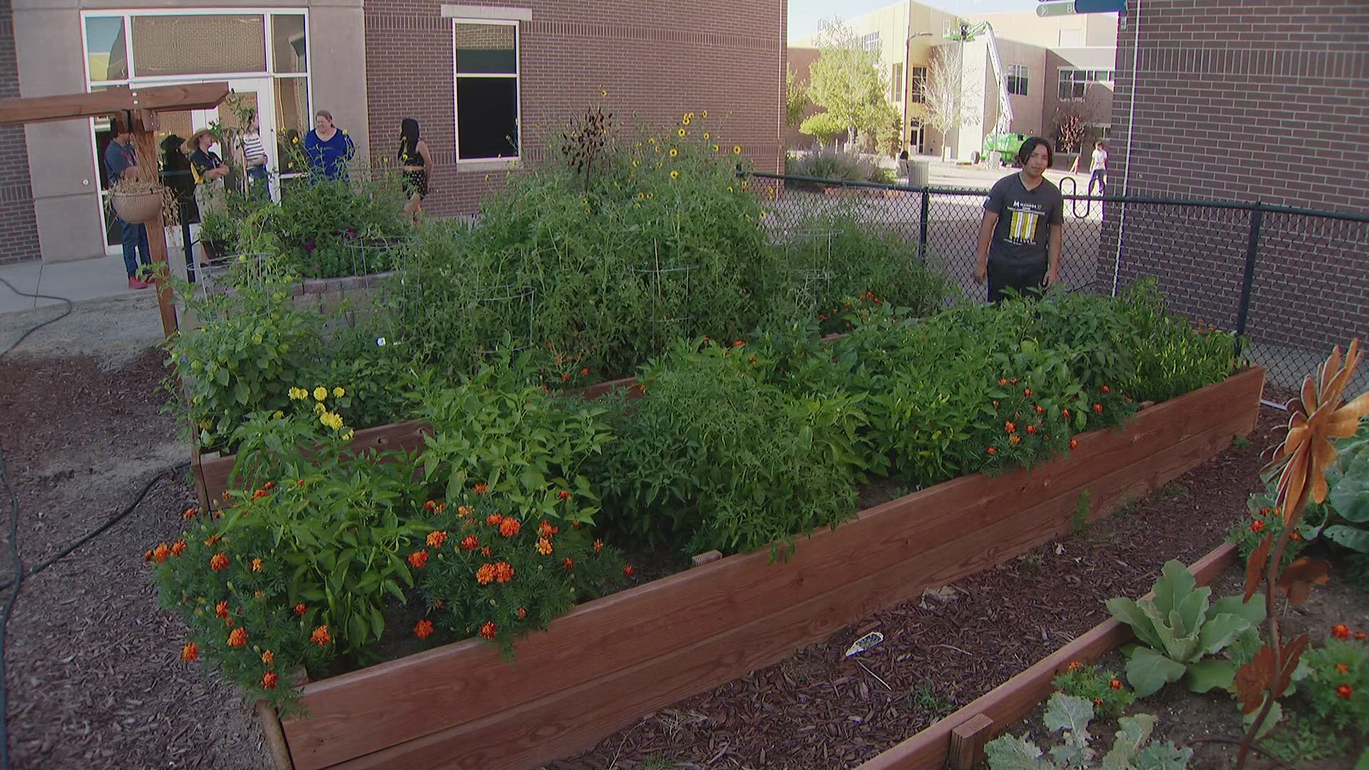 A group of students created the garden last year at Vista Academy.