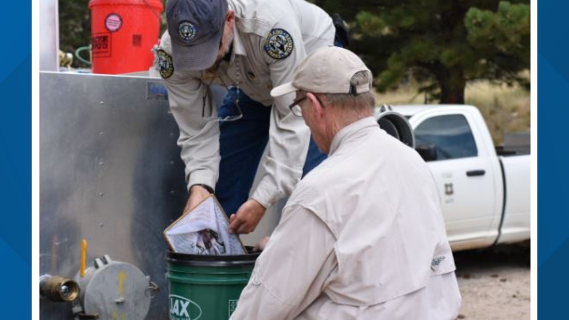 Rainbow trout restocked in parts of upper Poudre River