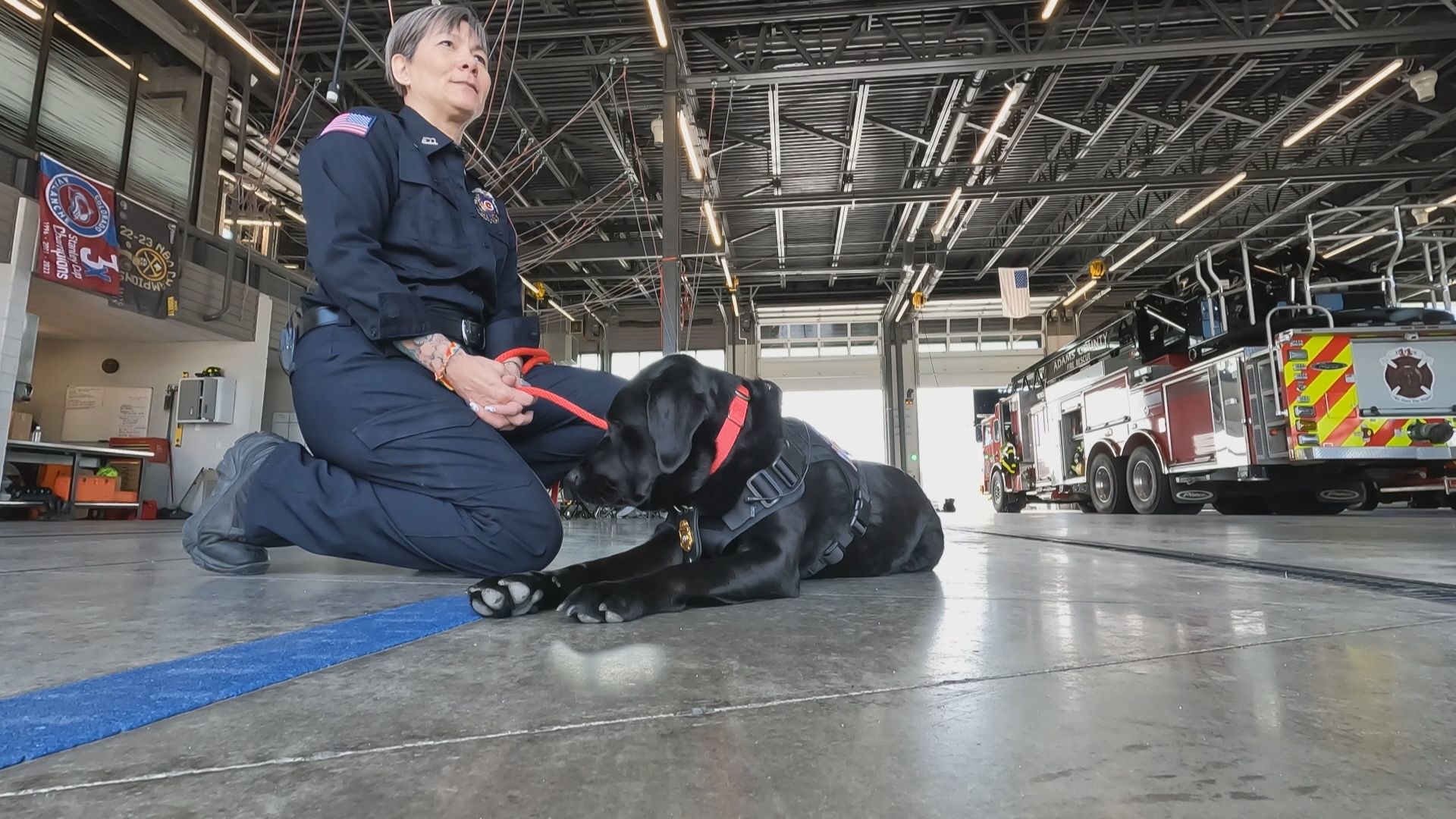 Nonprofit works to bring back arson dog certification funding | 9news.com