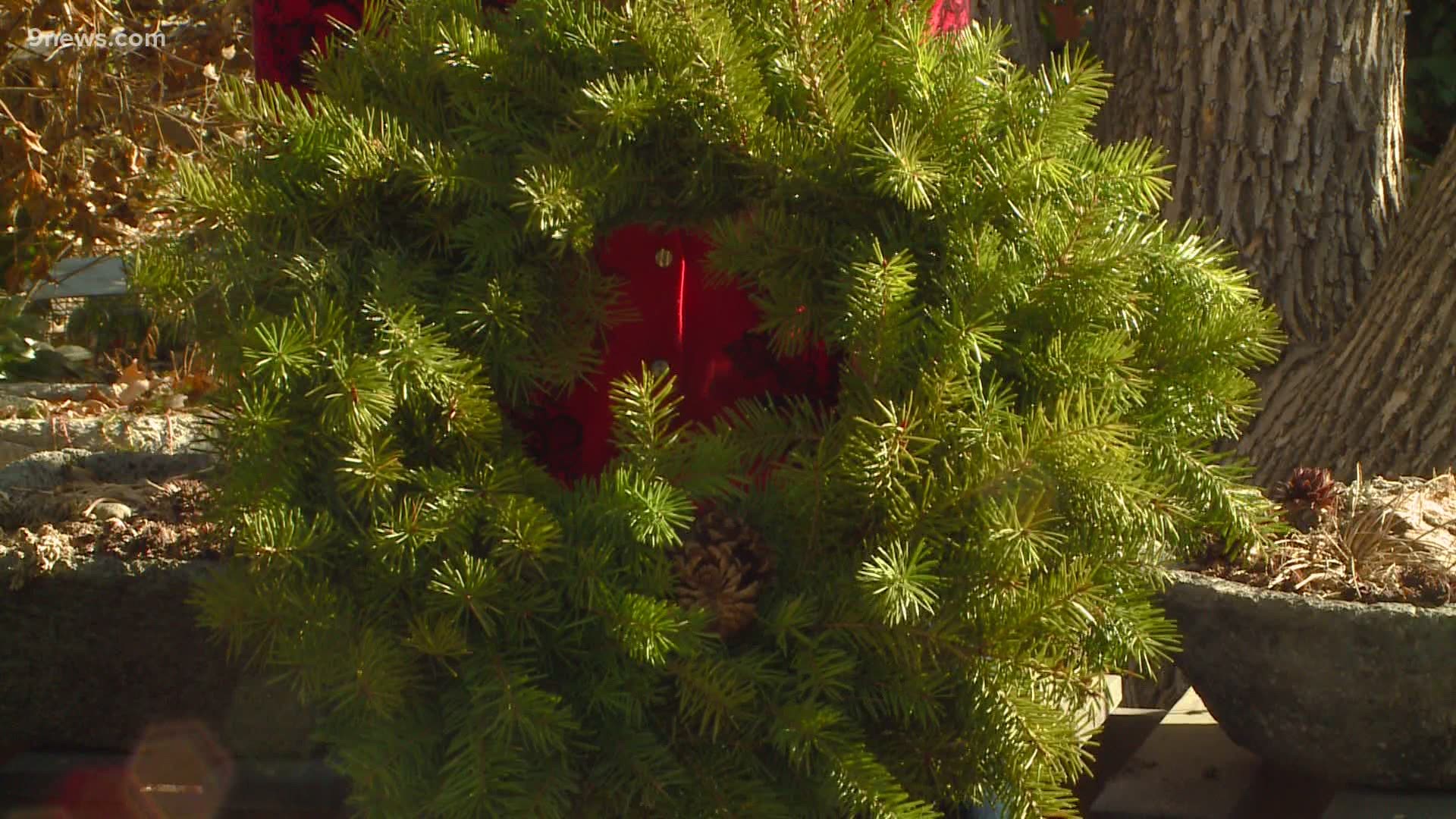 How to keep your evergreen trees and wreaths fresh and beautiful.