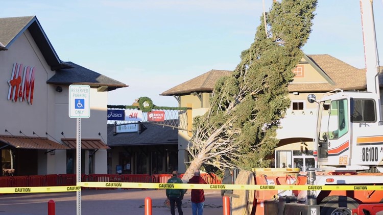 55-foot Christmas tree arrives at Outlets at Castle Rock