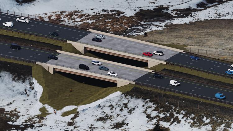 New wildlife crossing to be built west of Denver