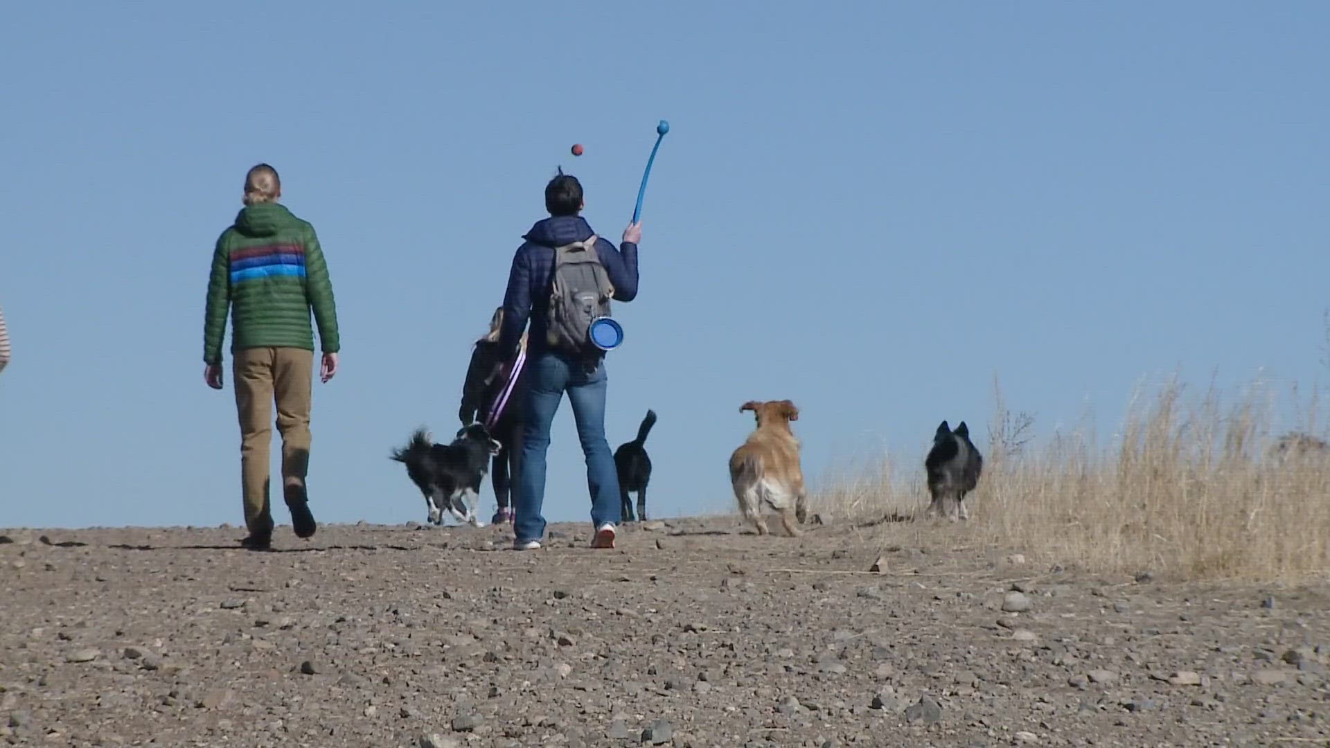 Westminster Hills Open Space houses the city's largest off-leash dog park, but the city may shrink the dog park's size and switch to on-leash.
