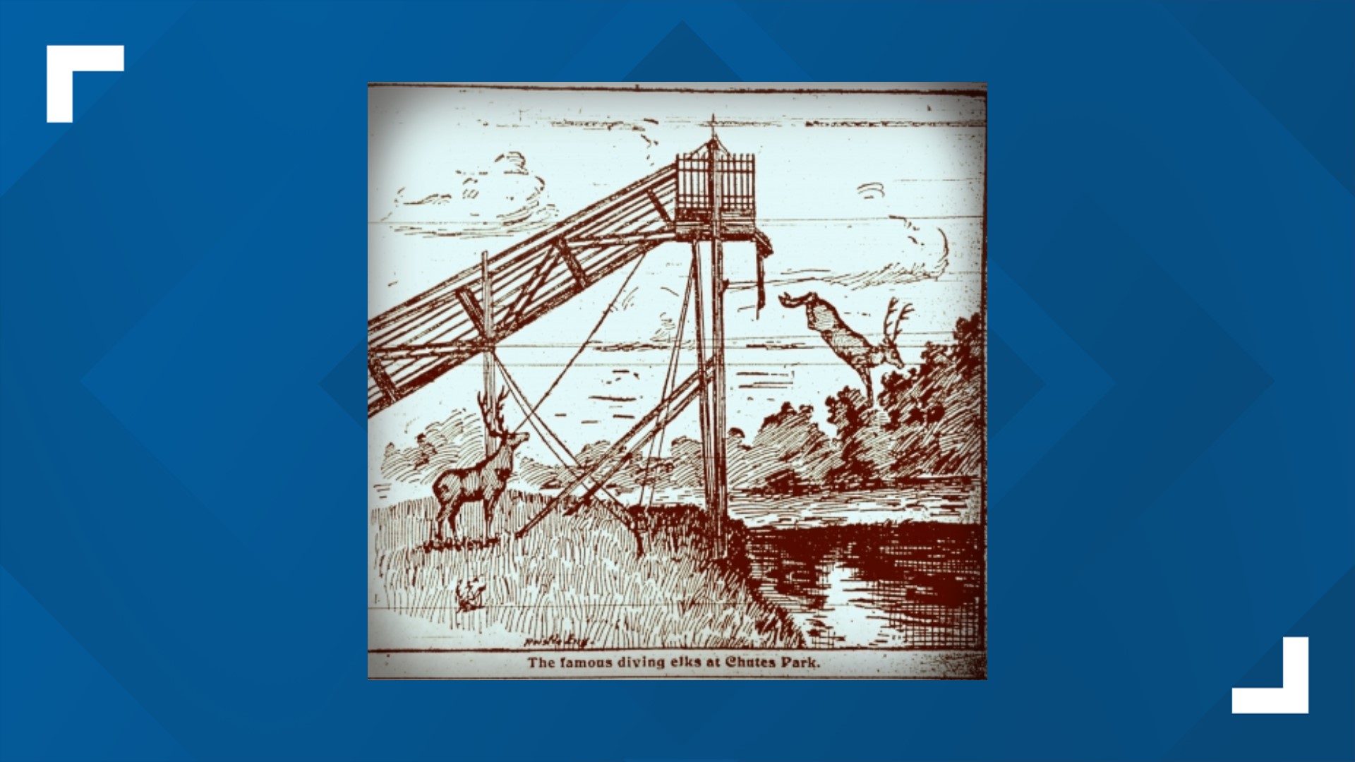 There used to be diving elk at a popular Denver park