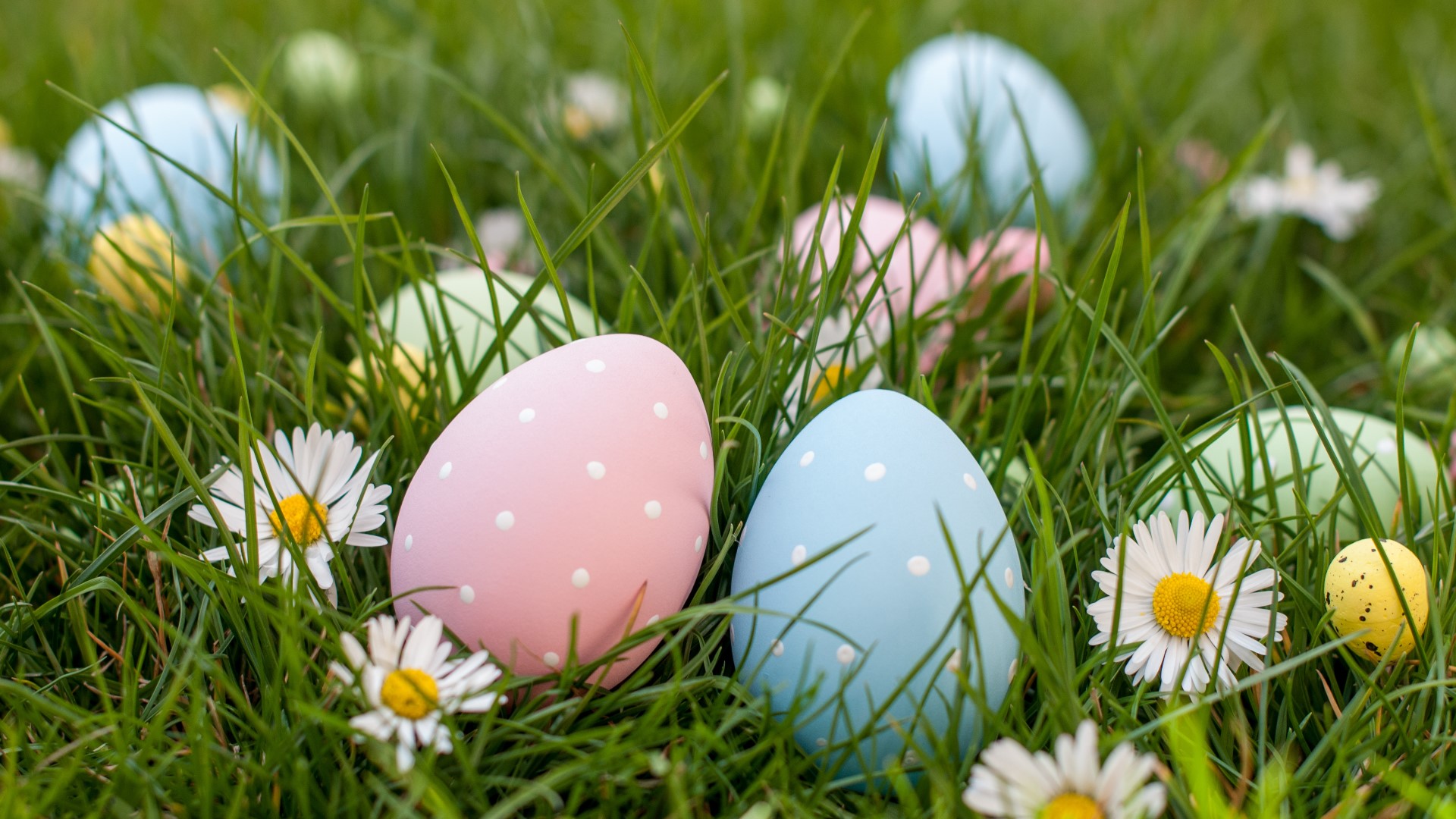 Easter egg hunts across Denver and Colorado in 2023 See the list