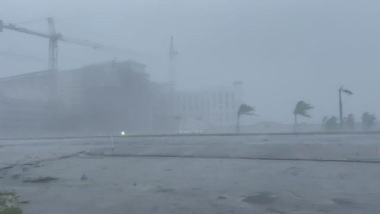 RAW: Strong winds and heavy rain from Hurricane Ian captured in Port Charlotte