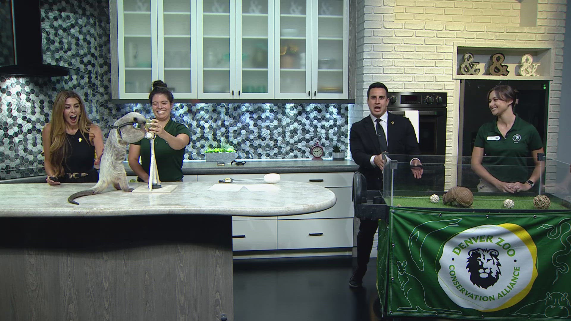 The Denver Zoo Conservation Alliance introduces us to two animals originally from South America. 