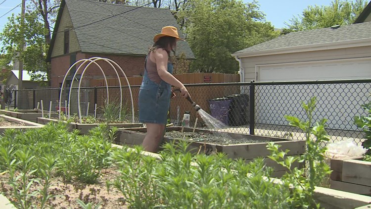 Nonprofit fighting food insecurity by planting urban gardens in backyards