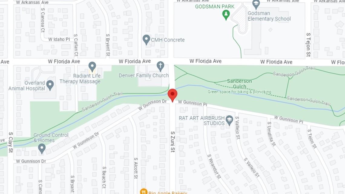 Denver Animal Protection looking for owners of emaciated dog found on ...