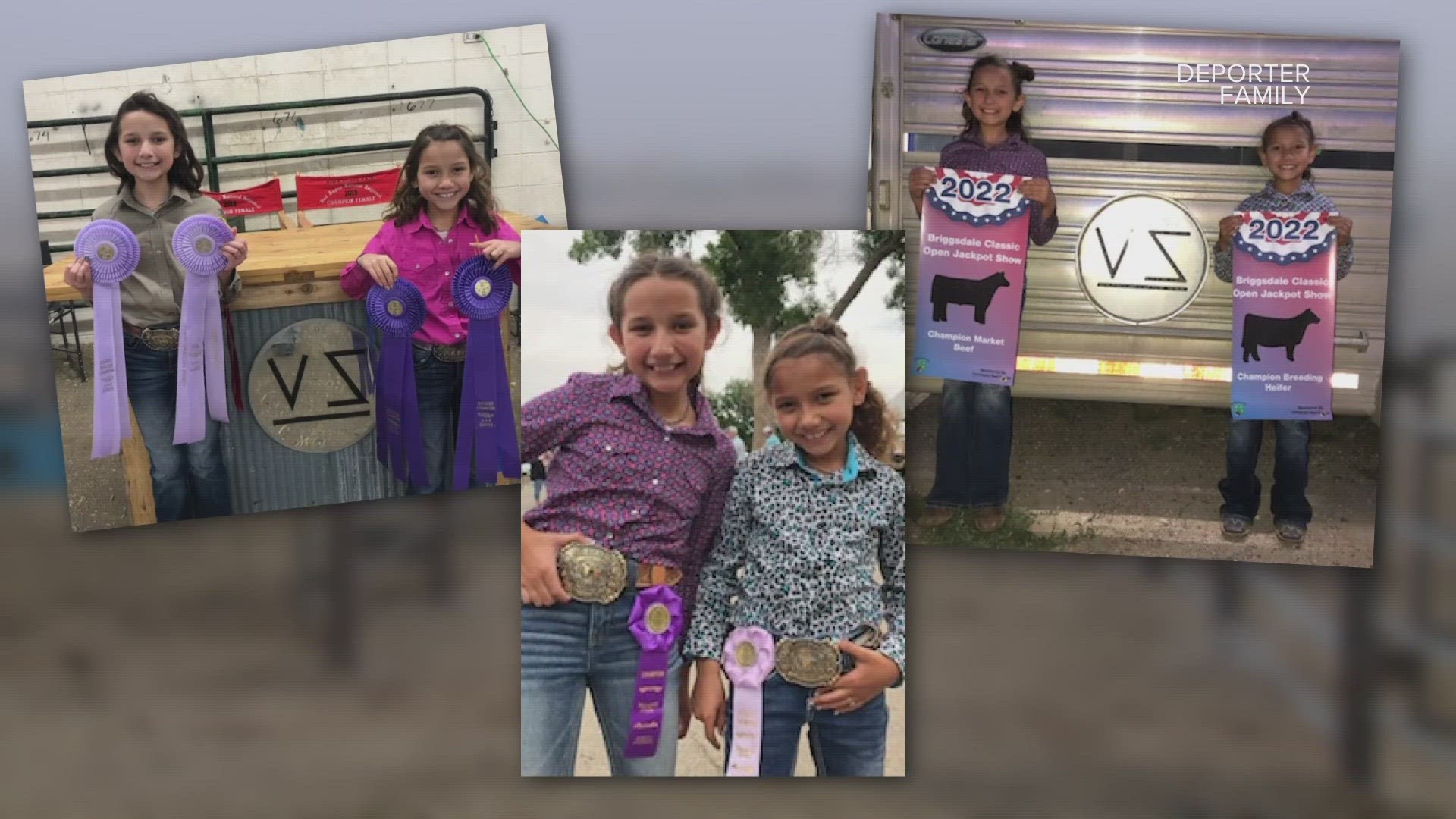 Sisters Tatum and Tegan will be showing in the Red Angus show, junior market show and prospect cattle shows. They've competed on county, state and national levels.