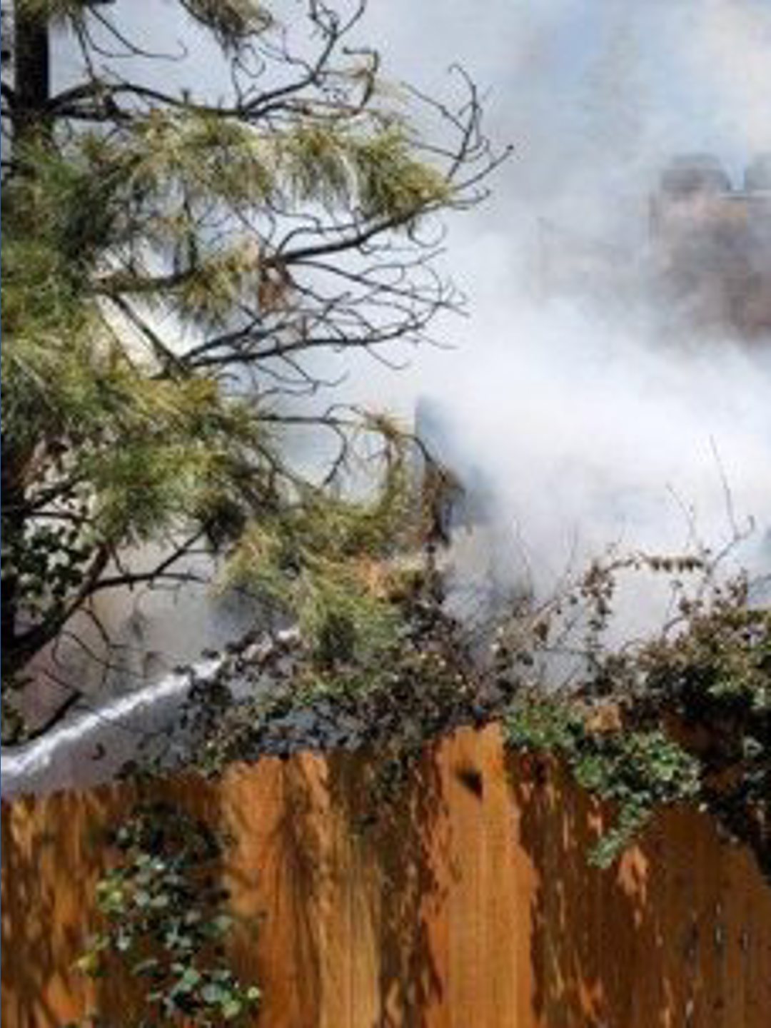 1 person hurt, dog killed in fire in Douglas County | 9news.com