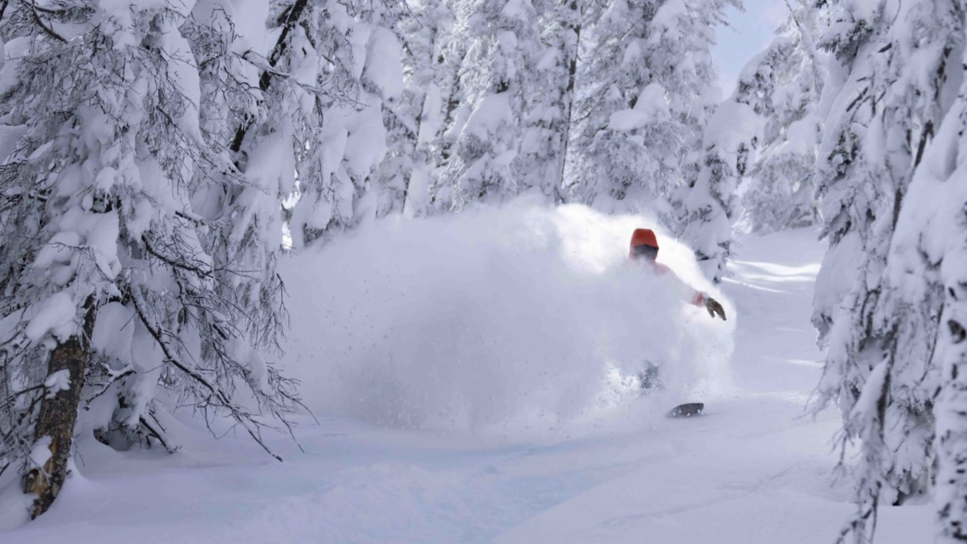 Colorado's Wolf Creek Ski Area gets 77 inches of snow in 9 days