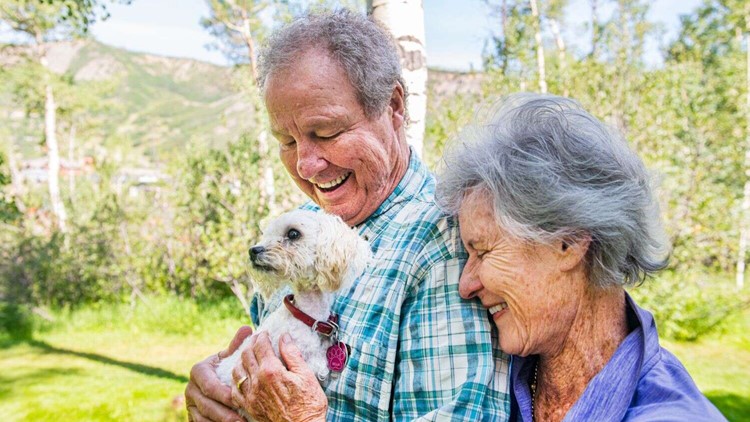 Colorado man who survived avalanche 'desperately' searching for pet dog who  went missing in slide